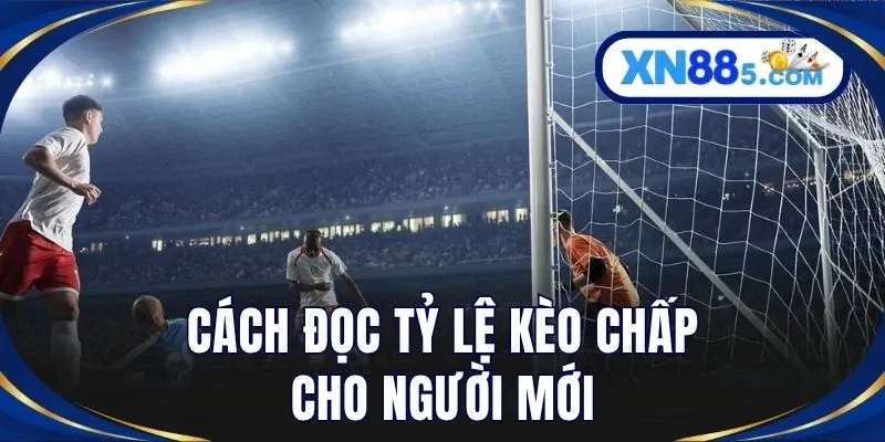 Cách đọc tỷ lệ kèo chấp cho người mới