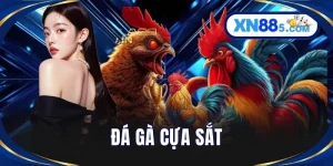 Đá Gà Cựa Sắt