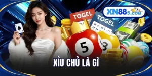 Xỉu Chủ Là Gì